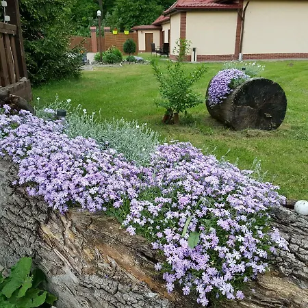 Agroturystyka U Anety * Majdany Wielkie